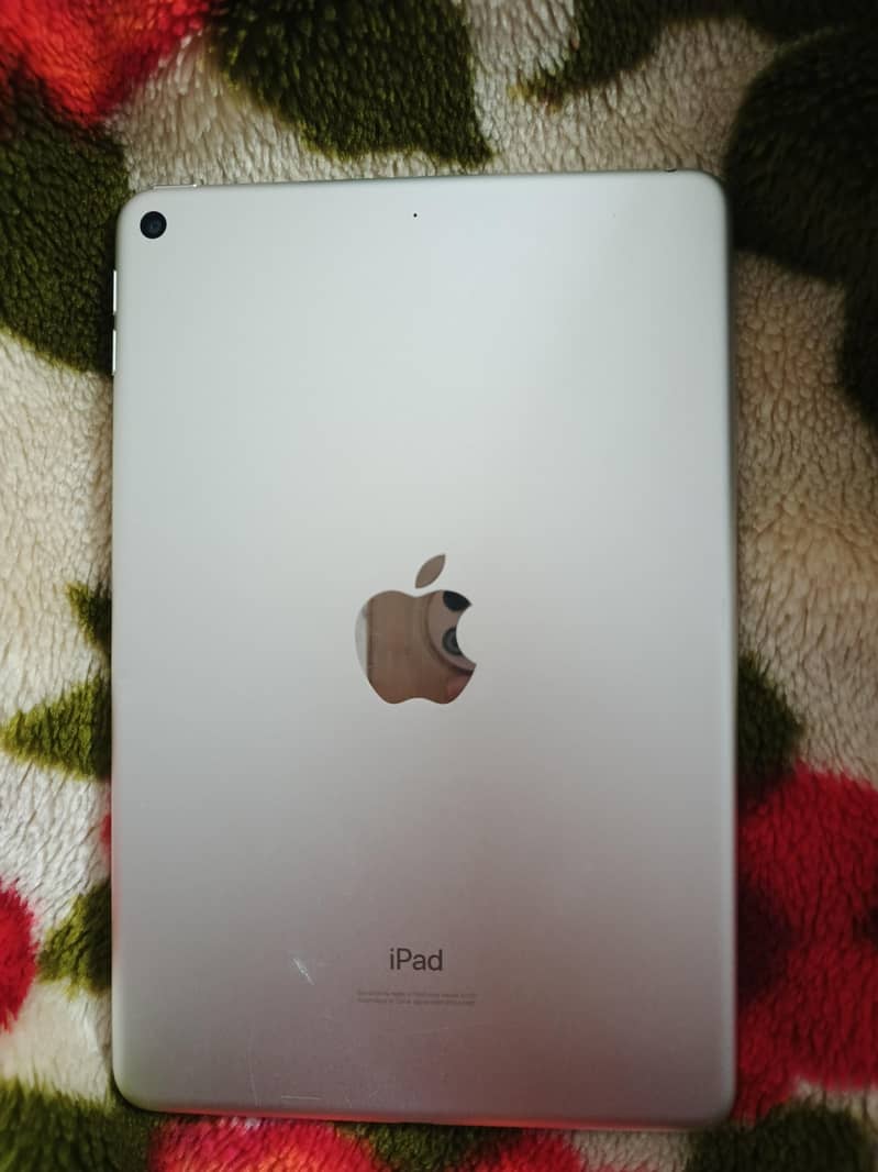 ipad mini 5 256gb 5