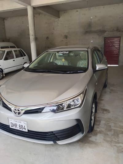 Gli 2019 model