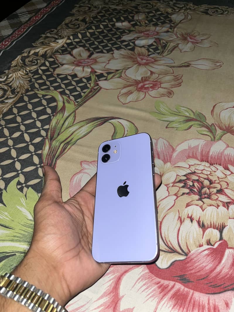 Apple iPhone 12 1