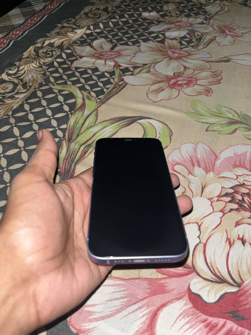 Apple iPhone 12 2