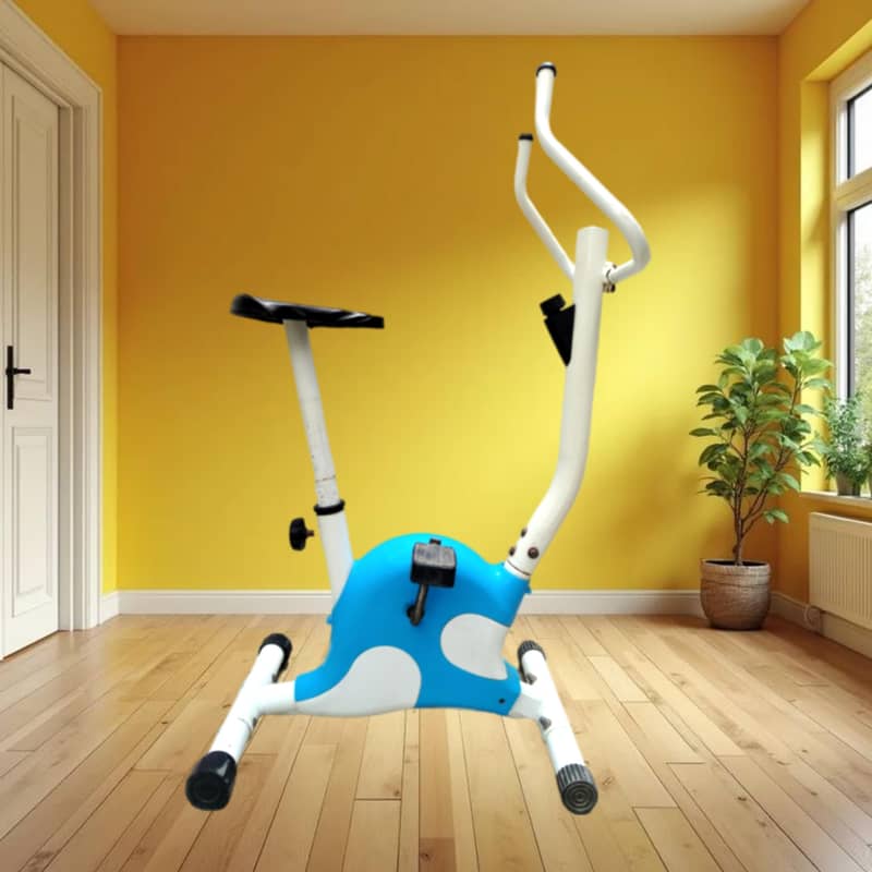 B3 Exercise Cycle good condition 1