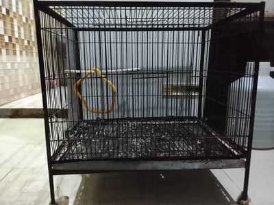 Birds Cage Used 9/10 Condition