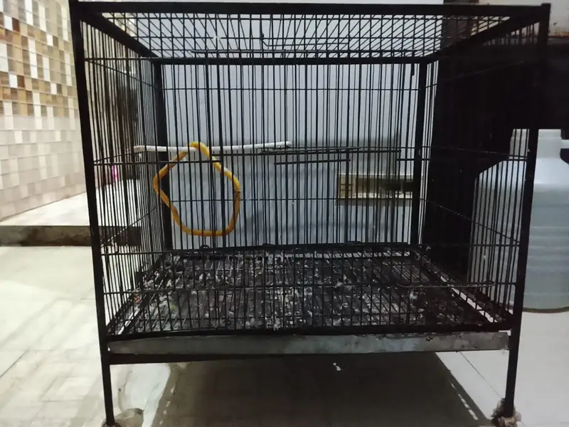 Birds Cage Used 9/10 Condition