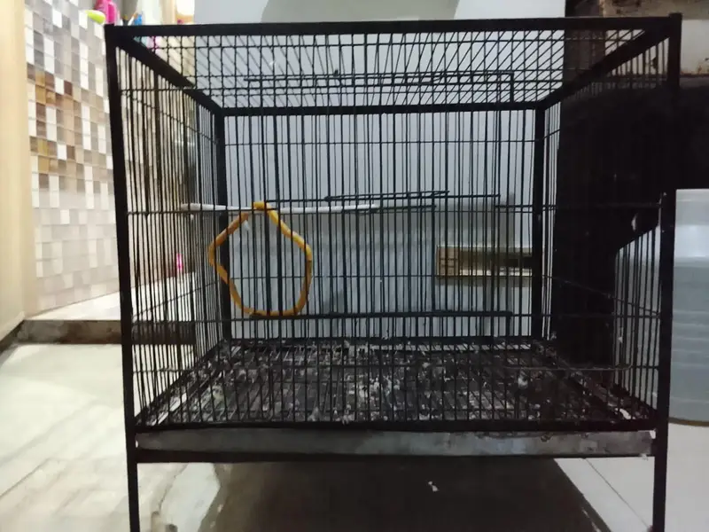 Birds Cage Used 9/10 Condition — photo 2