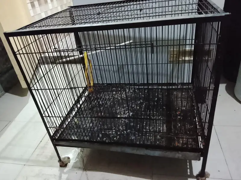 Birds Cage Used 9/10 Condition — photo 4
