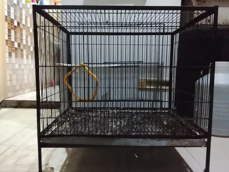 Birds Cage Used 9/10 Condition — photo 5