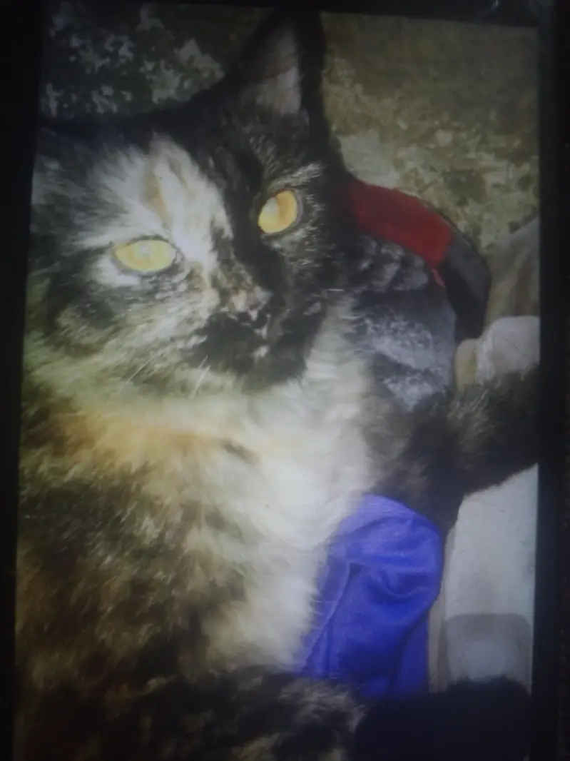 age nai pata kitni ha — photo 3