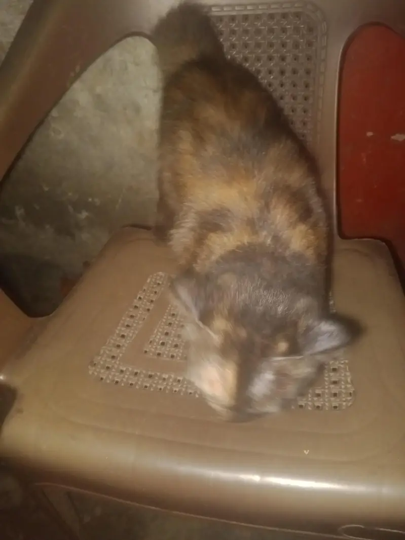 age nai pata kitni ha — photo 6