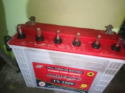 Tall Tubular battery TX 2500
