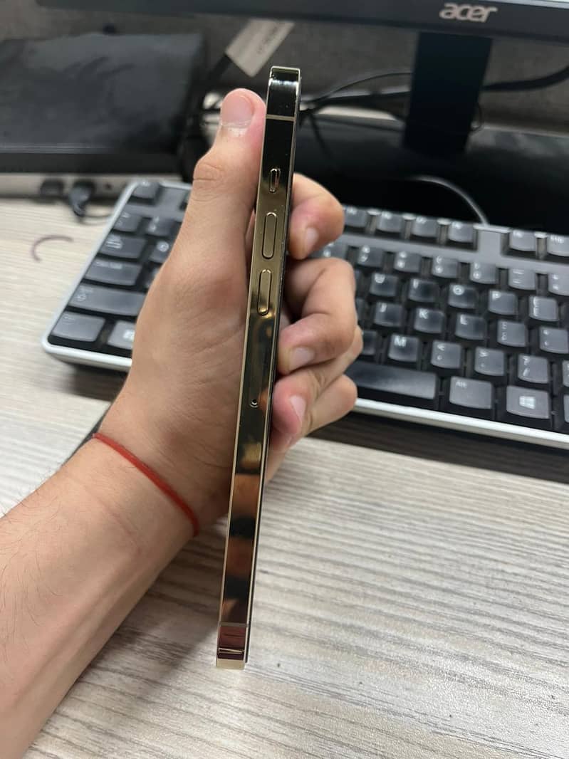Apple iPhone 13 Pro Max 2