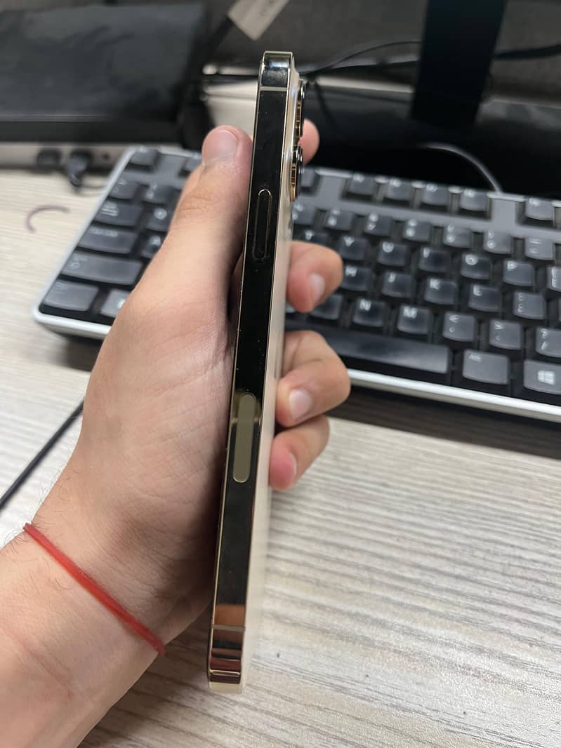 Apple iPhone 13 Pro Max 3