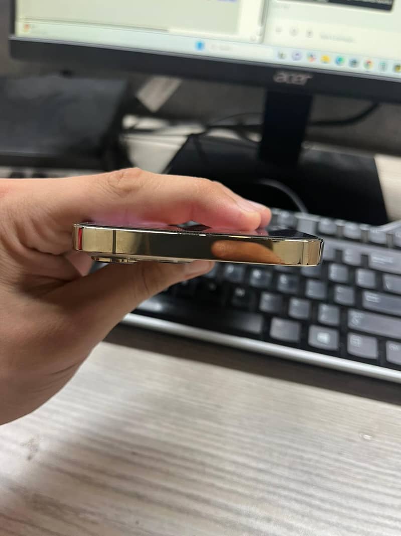 Apple iPhone 13 Pro Max 4
