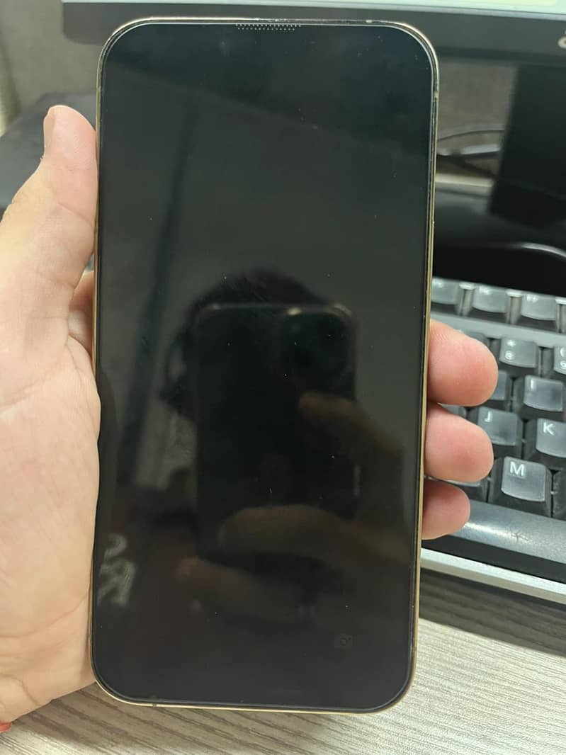 Apple iPhone 13 Pro Max 5