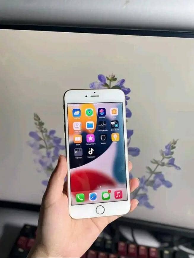 Apple iPhone 7 Plus 4