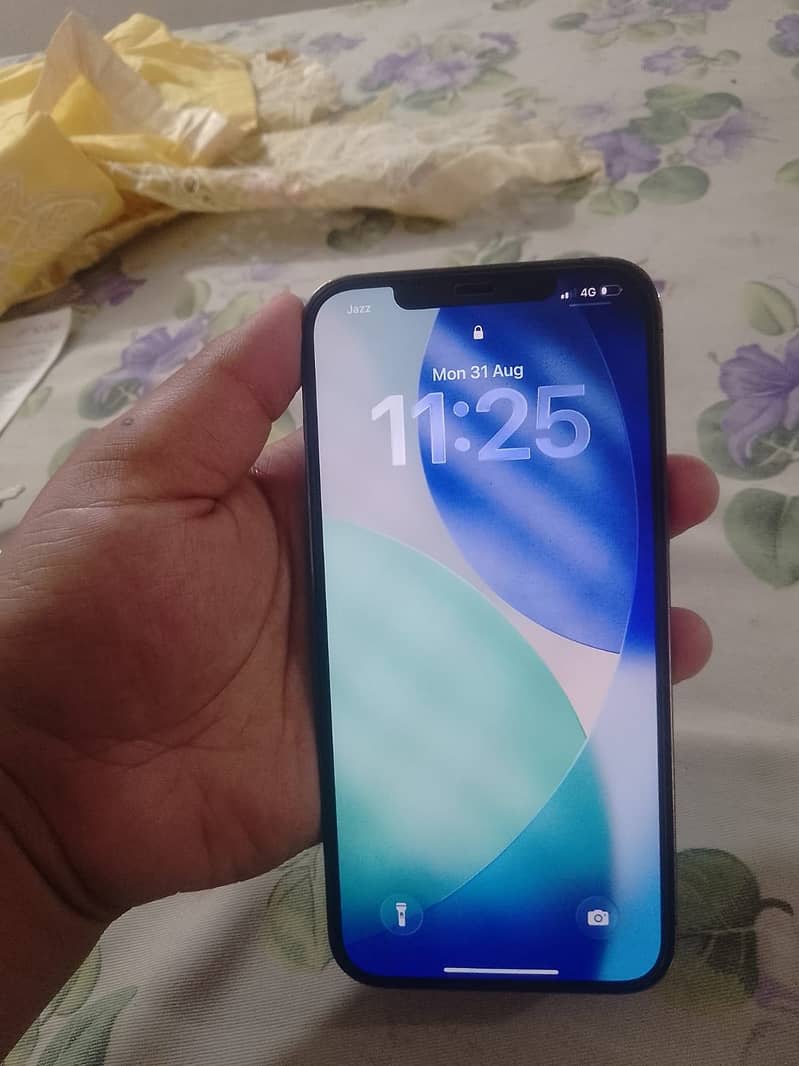 Apple iPhone 12 Pro Max 1