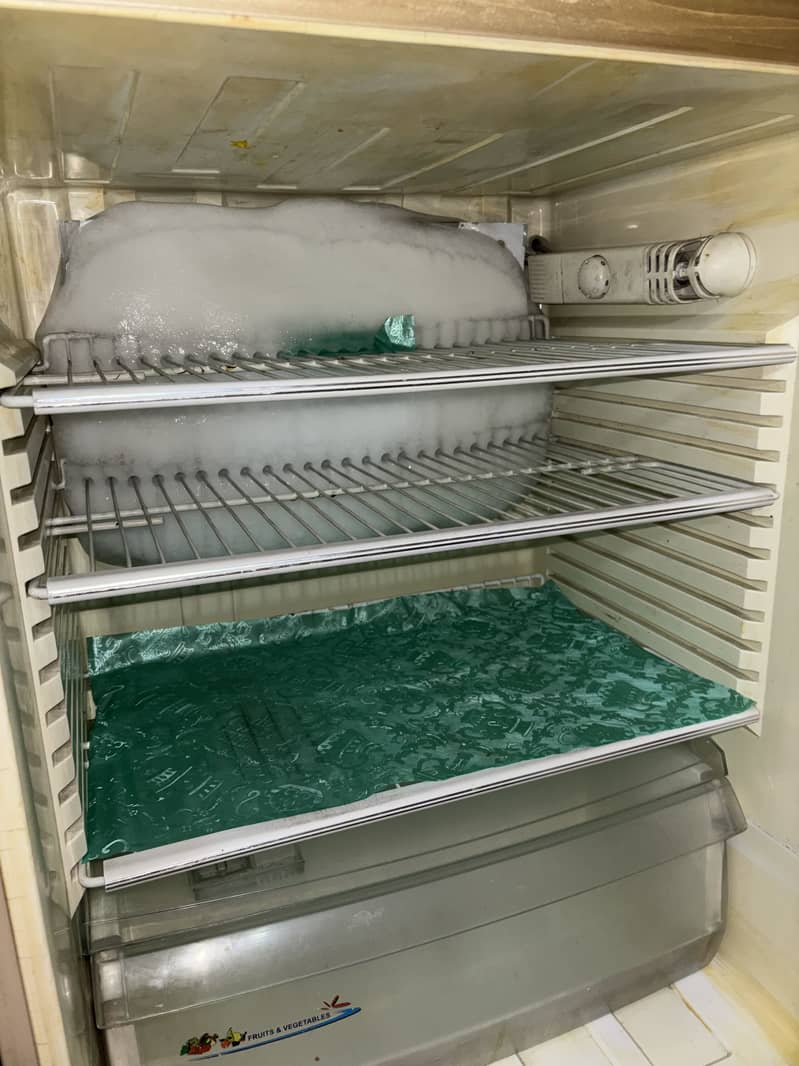 PEL FRIDGE 1