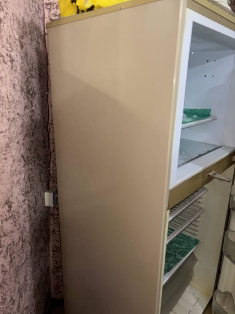 PEL FRIDGE 2