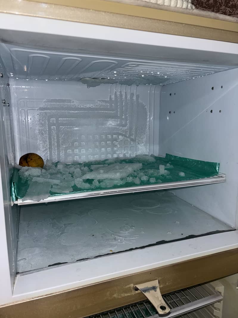 PEL FRIDGE 3