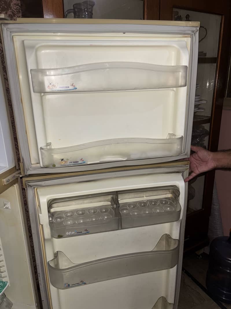 PEL FRIDGE 4