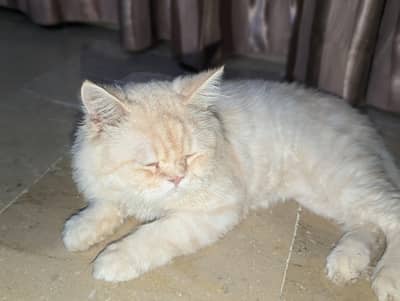 billa