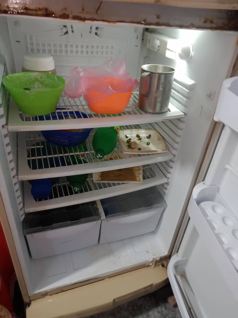 pel refrigerator 2