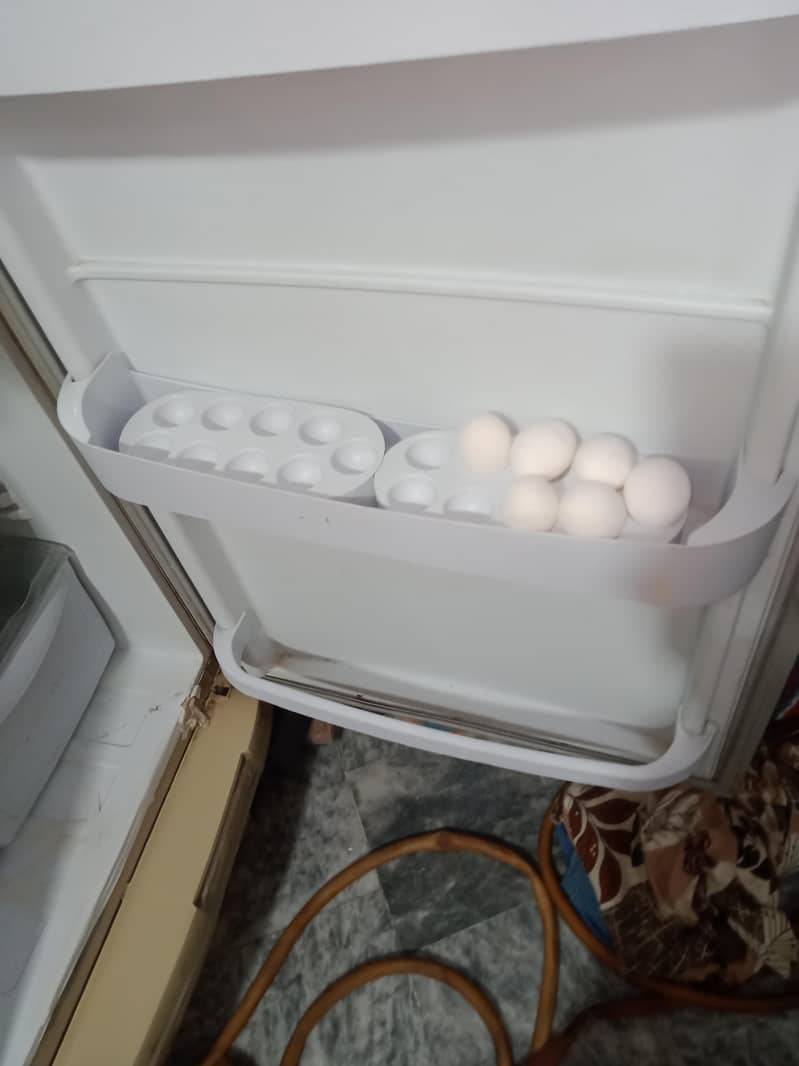 pel refrigerator 3