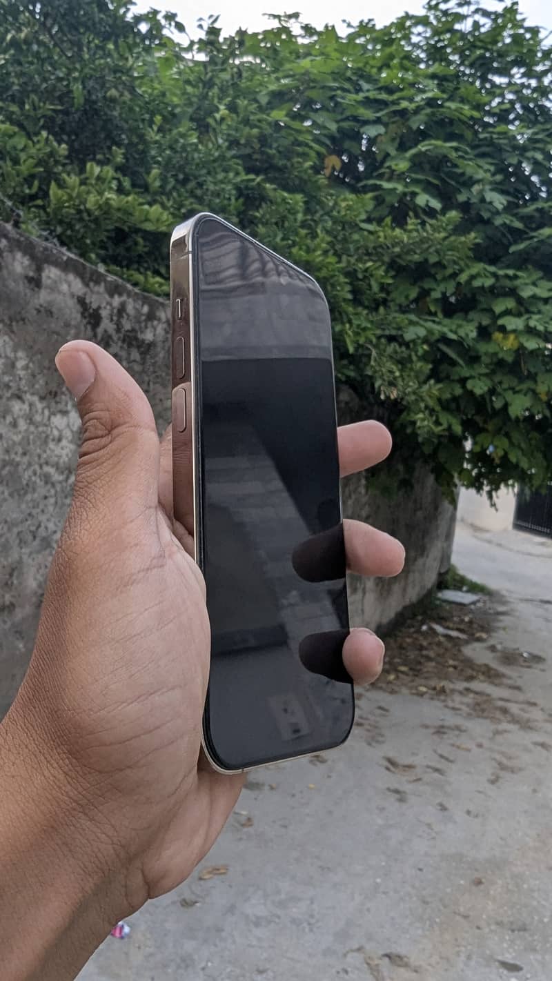 Apple iPhone 14 Pro 1