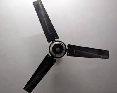 Fan for sale