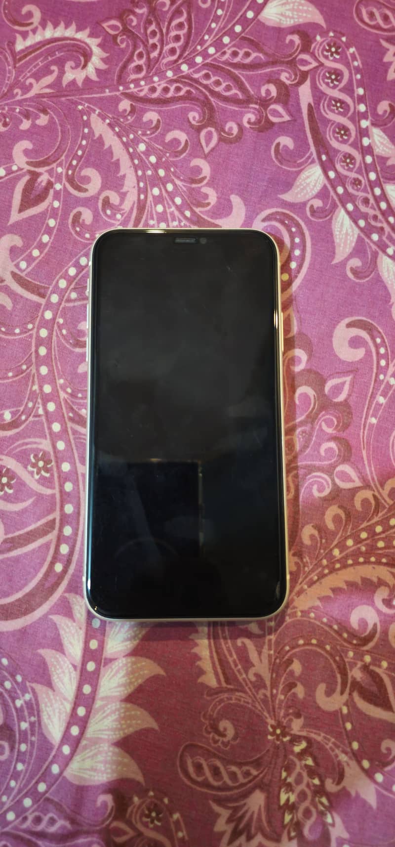 Apple iPhone 11 1
