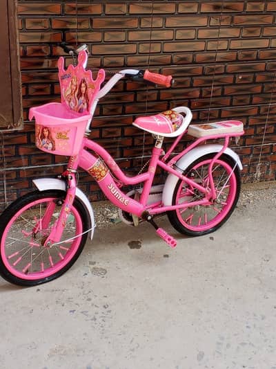 Kids bicycle 0311_5391419