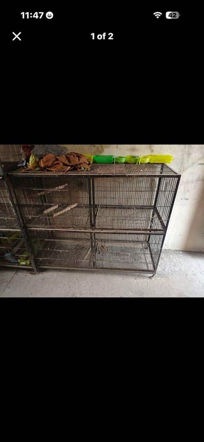 cage hj