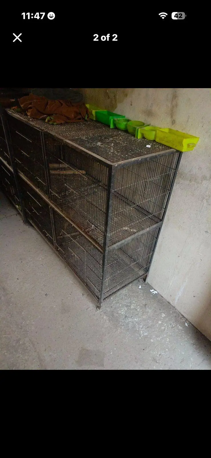 cage hj — photo 2