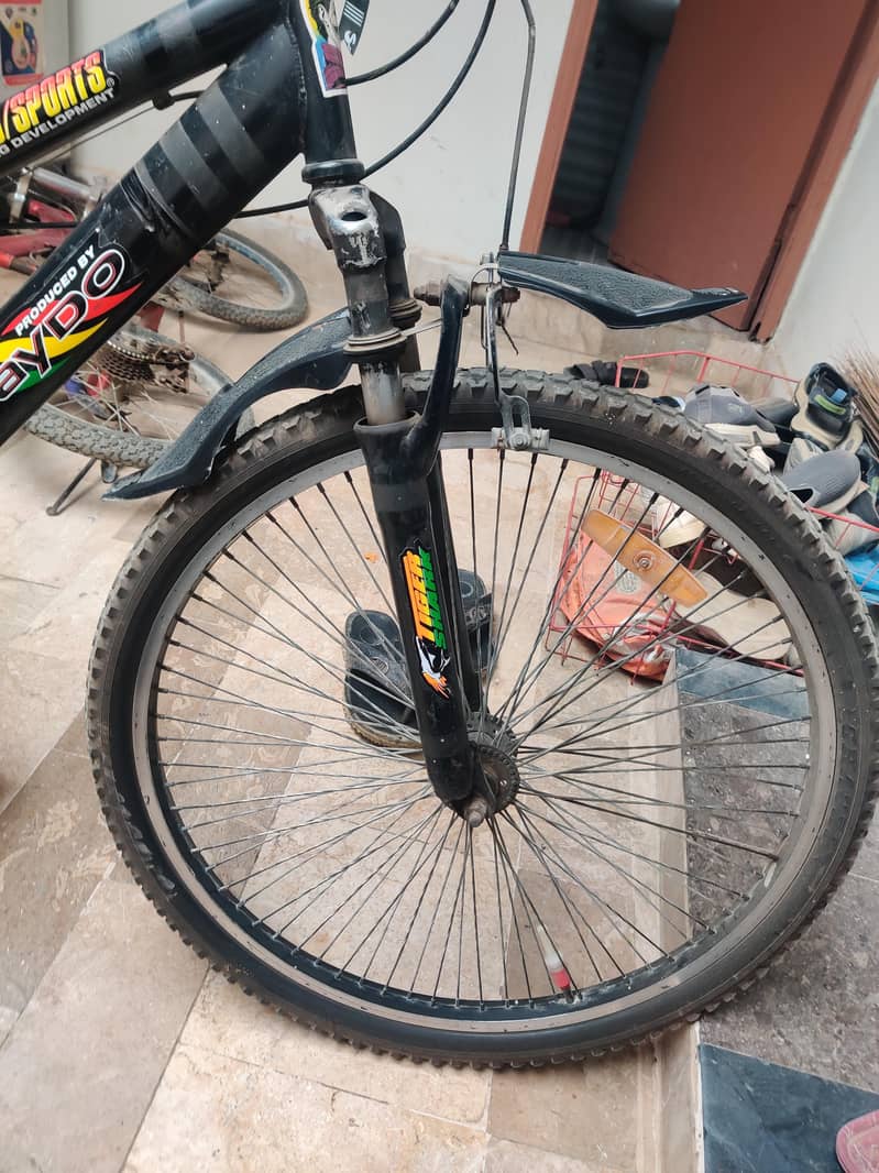 fully special cycle 2