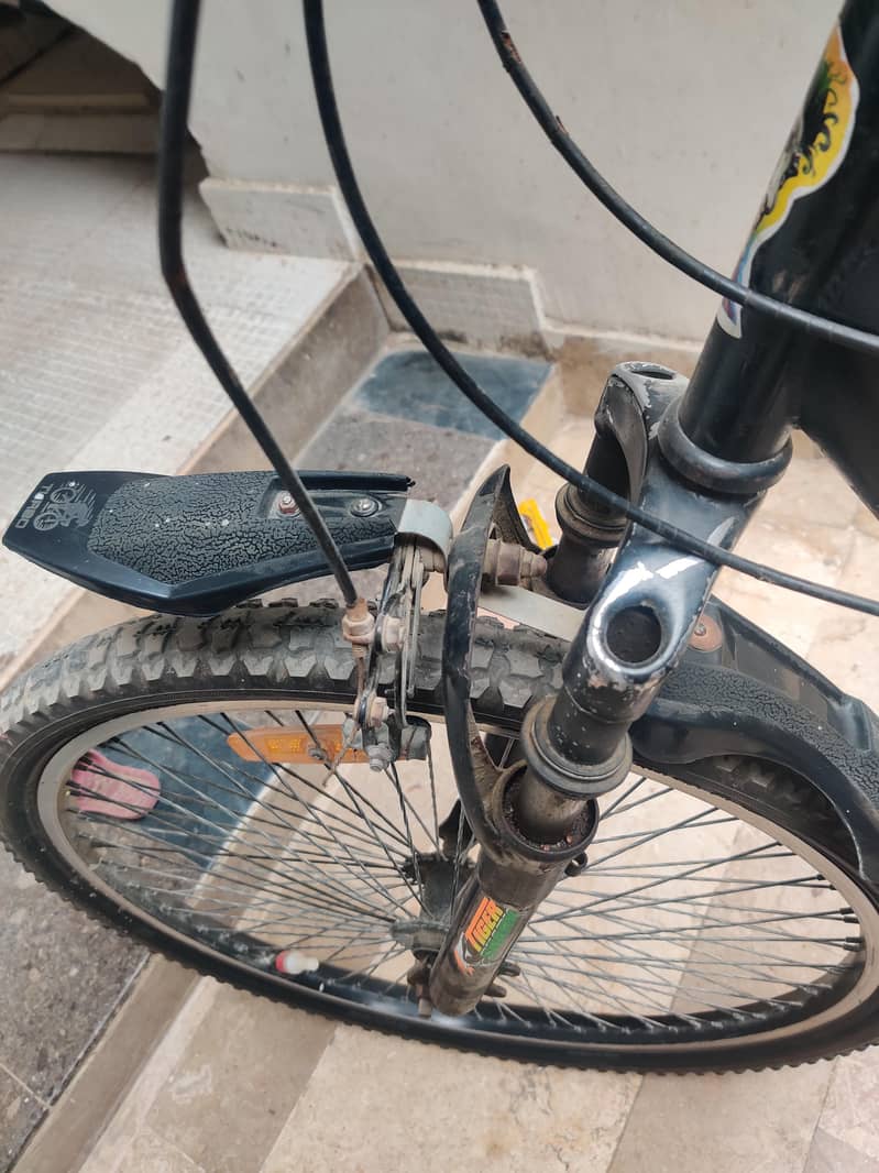 fully special cycle 6