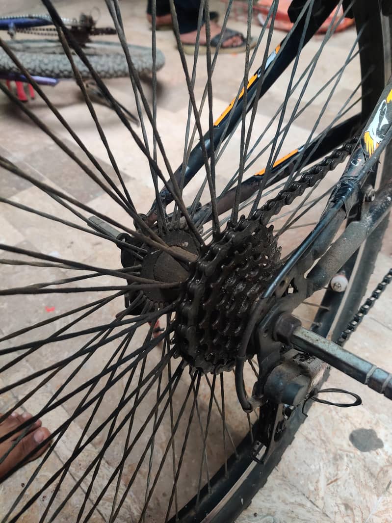 fully special cycle 10