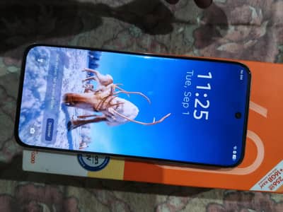 Tecno spark 40 pro plus