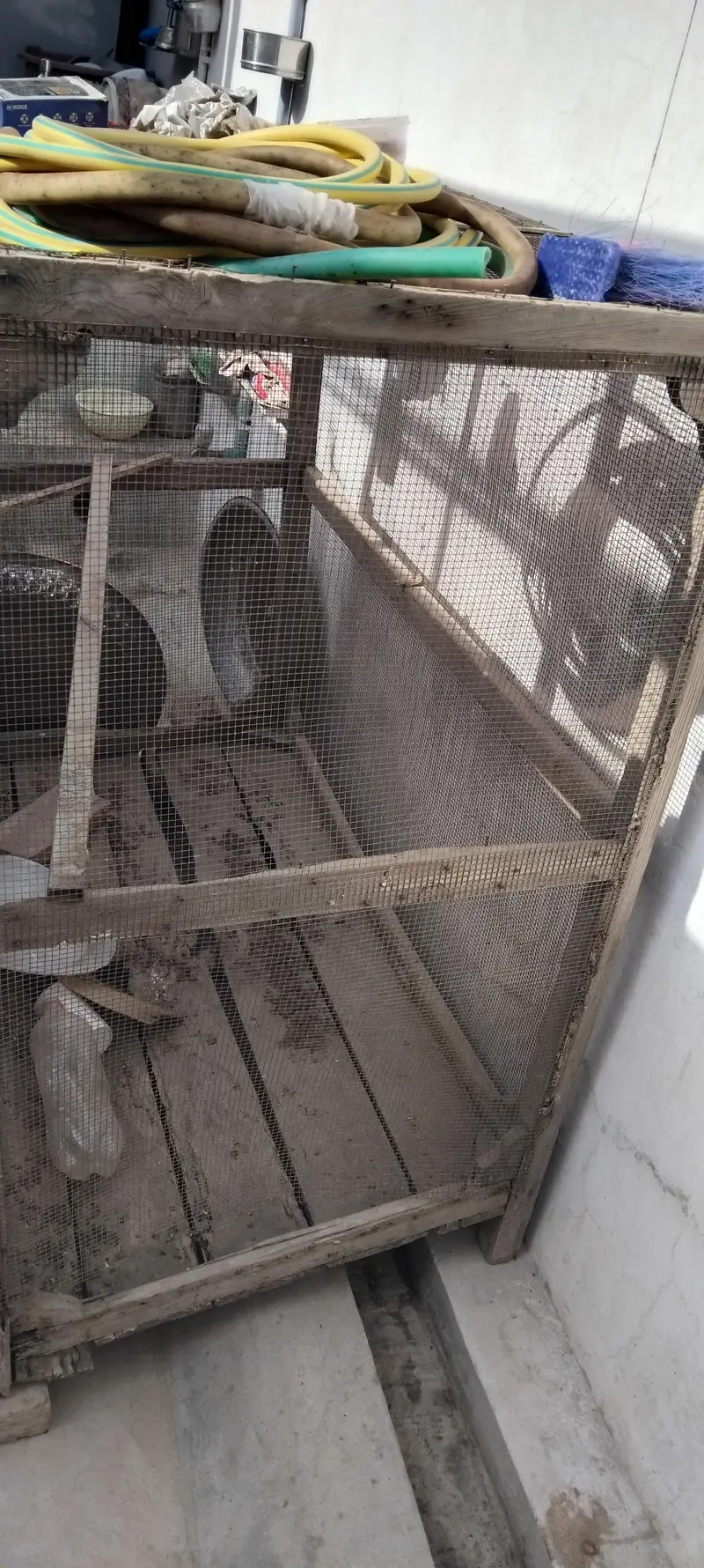 Birds Cage — photo 2