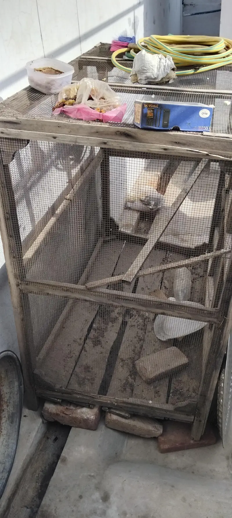Birds Cage — photo 3