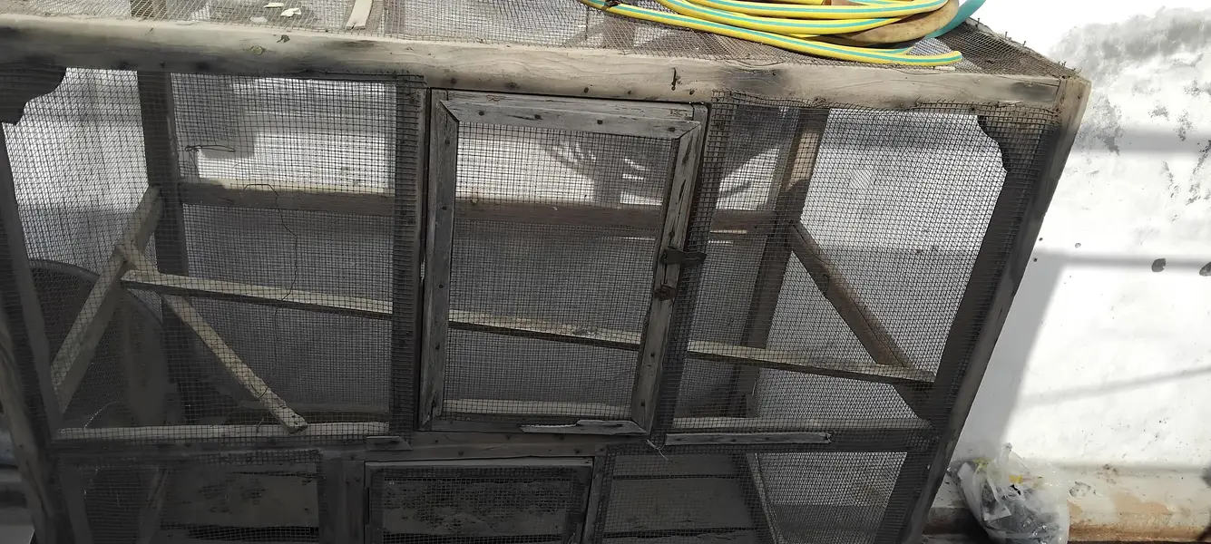 Birds Cage — photo 4