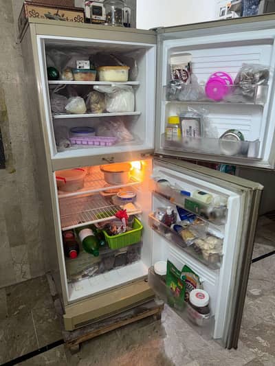 PEL Refrigerator PRAS 2300 EW