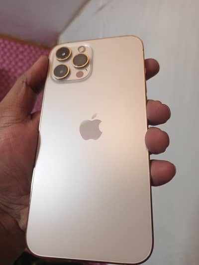 iPhone 12 pro Max Golden 128