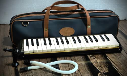 Suzuki M-37 Alto Melodion
