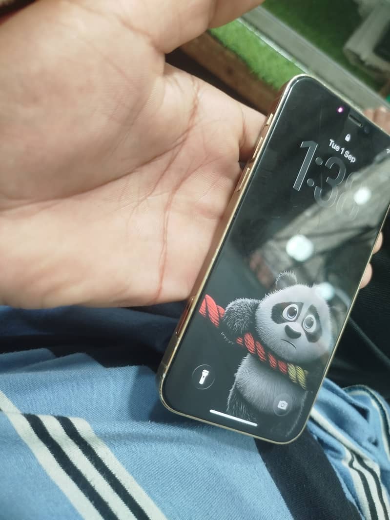 Apple iPhone 12 Pro 1