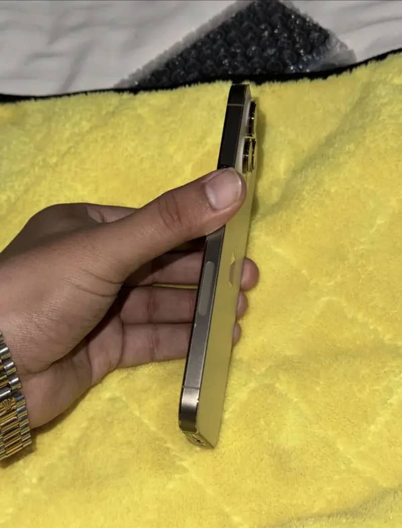 Apple iPhone 16 Pro Max 2