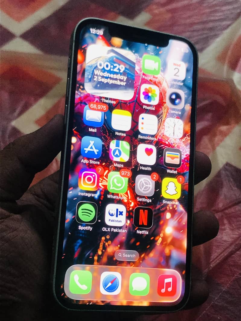 Apple iPhone 12 9
