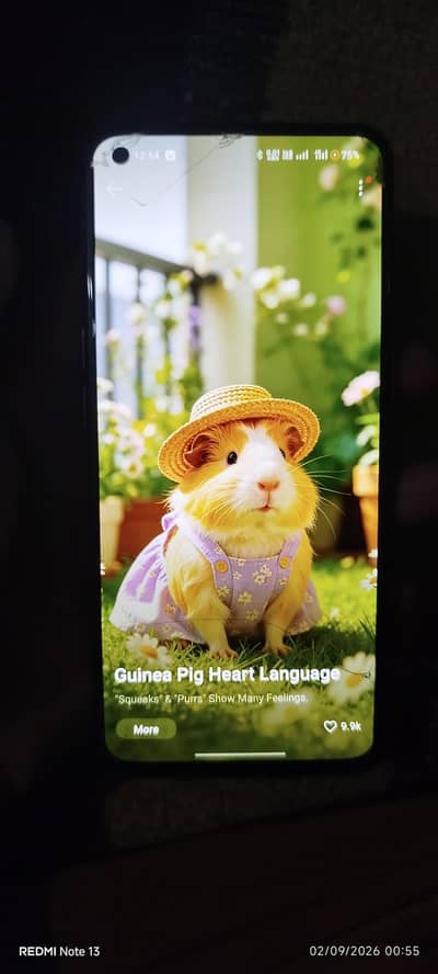 OPPO Reno6