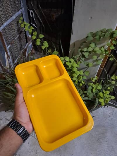 partition plate / burger plate / bryani plate