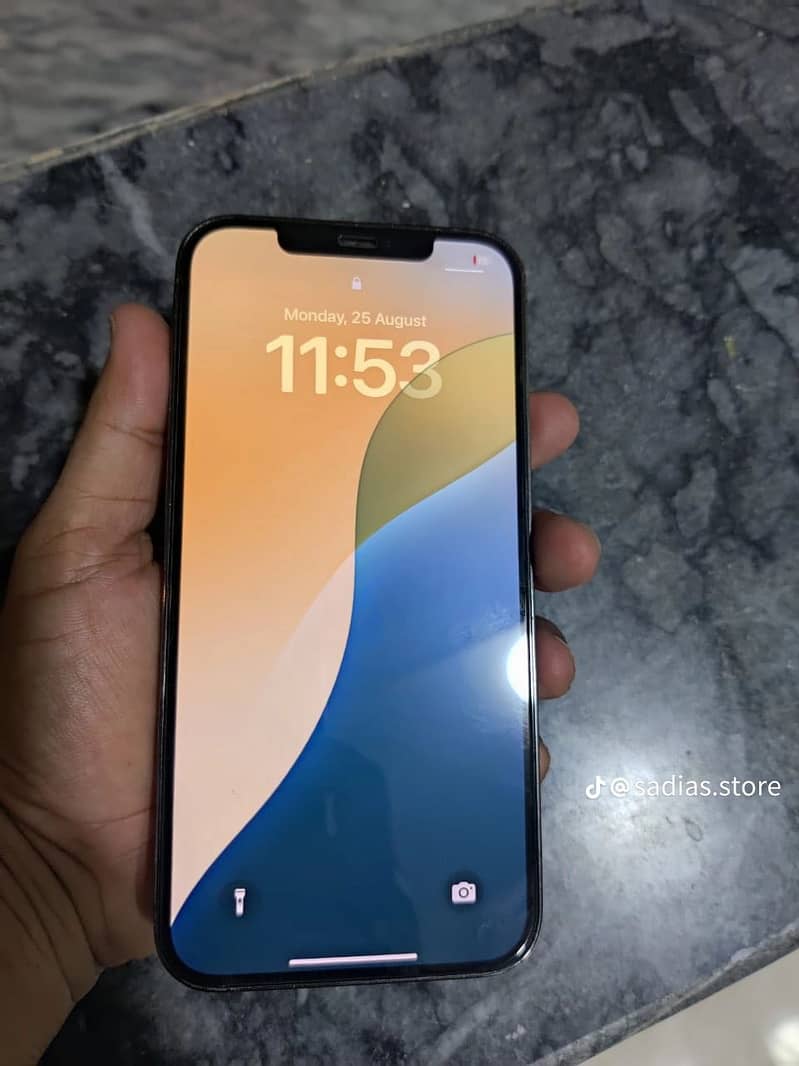 Apple iPhone 12 Pro Max 2