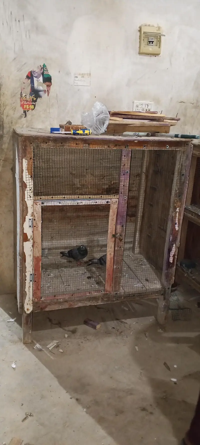 cage do  Hain bohot ziyada heavy lakri Kay — photo 5