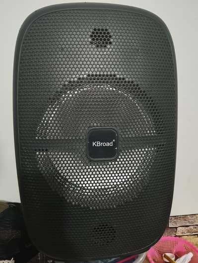 portable Bluetooth speaker with microphone